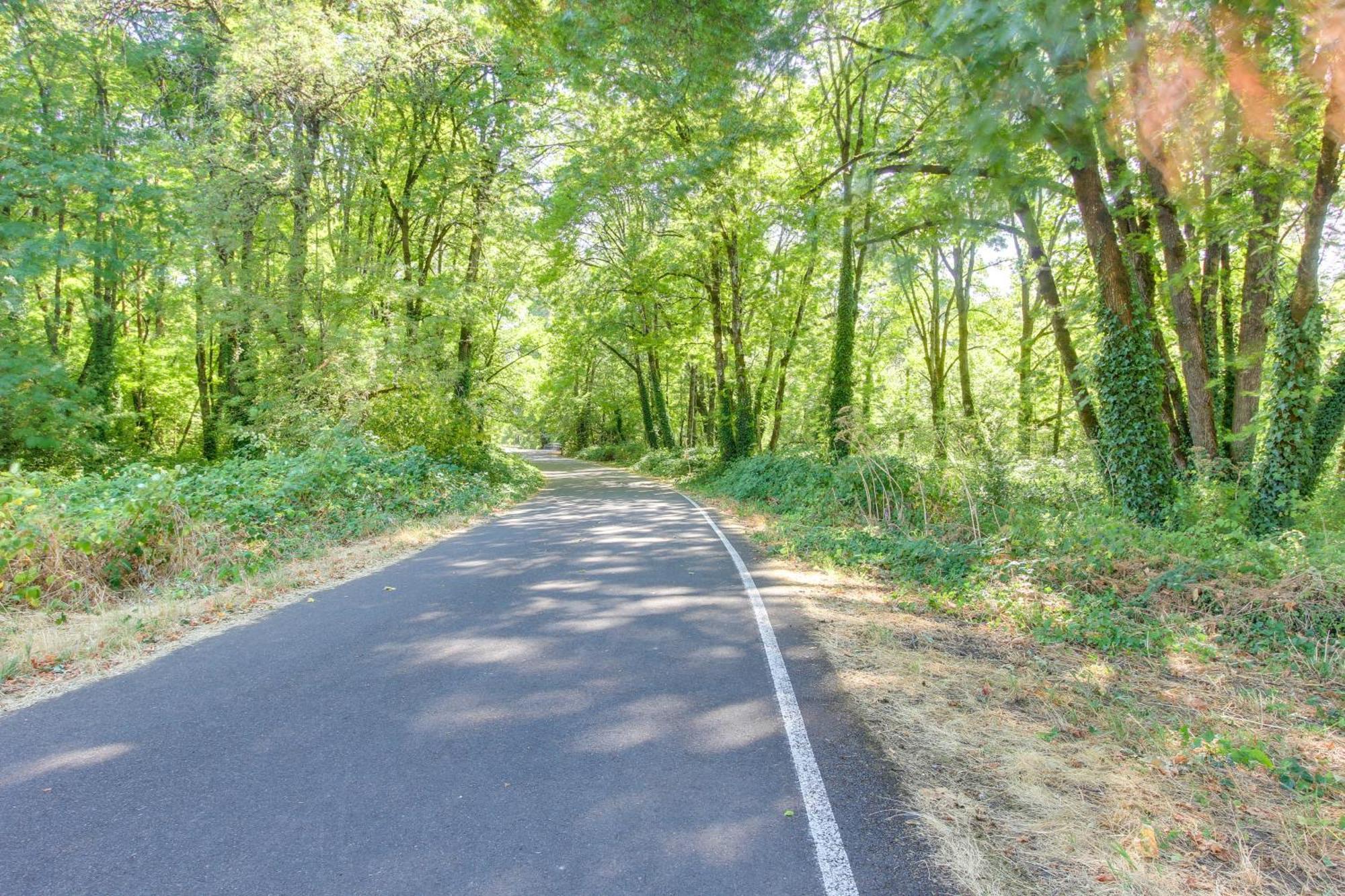 Pet-Friendly Home With Grill, 2 Mi To Autzen Stadium Springfield Eksteriør bilde